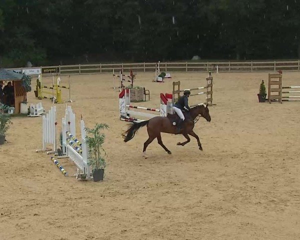 Reitturnier Tiefenhof/Opf. 2025