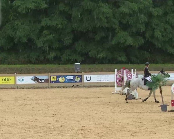 Reitturnier Tiefenhof/Opf. 2025