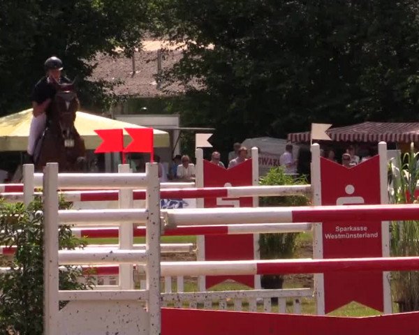 Pfingst - Dressur und Springturnier Borken 2014