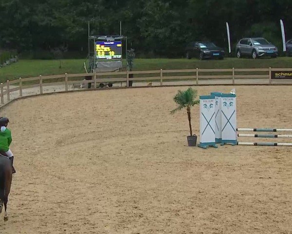 Reitturnier Tiefenhof/Opf. 2025