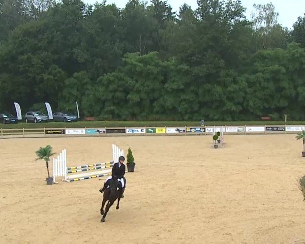 Reitturnier Tiefenhof/Opf. 2025