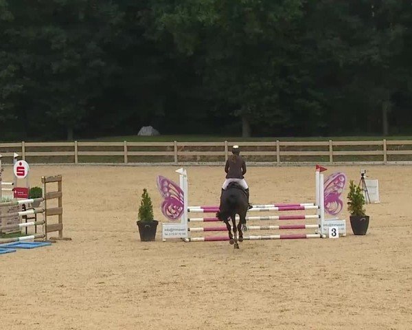 Reitturnier Tiefenhof/Opf. 2025