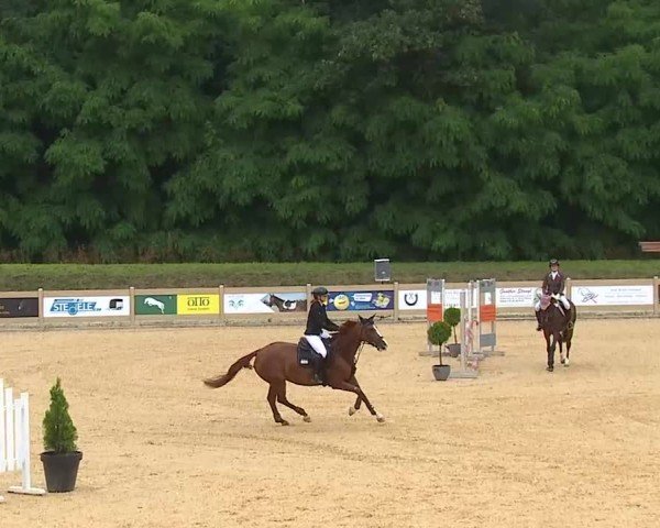 Reitturnier Tiefenhof/Opf. 2025