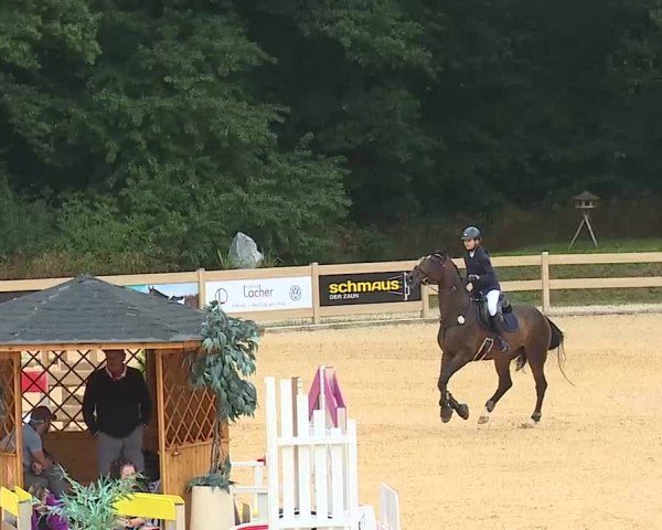 Reitturnier Tiefenhof/Opf. 2025