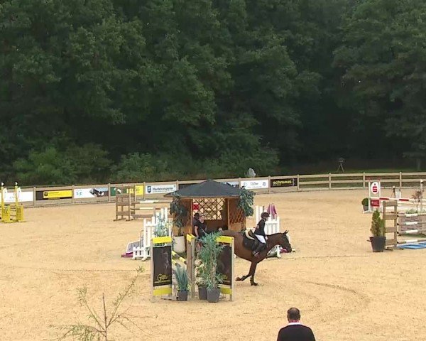 Reitturnier Tiefenhof/Opf. 2025