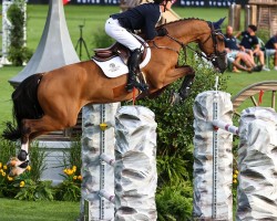 Springpferd Casian S (Hannoveraner, 2016, von Casallco)
