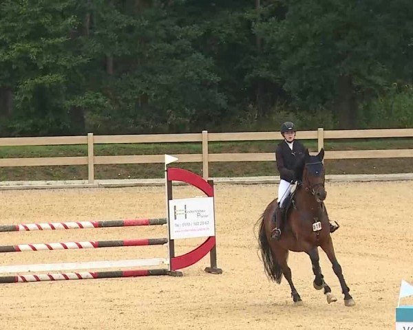 Reitturnier Tiefenhof/Opf. 2025