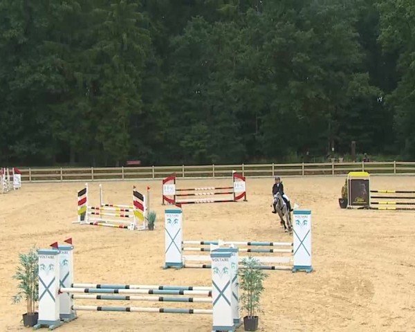 Reitturnier Tiefenhof/Opf. 2025