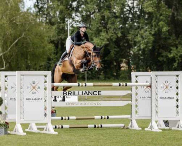 jumper Check Paris PS (Oldenburg show jumper, 2017, from Exelero 2)