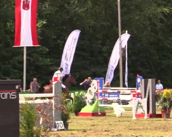 Pfingst - Dressur und Springturnier Borken 2014