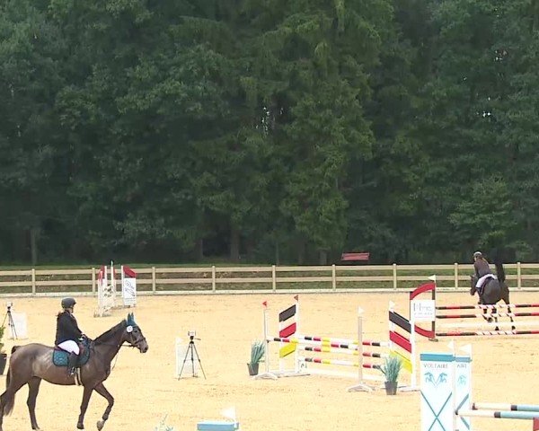 Reitturnier Tiefenhof/Opf. 2025