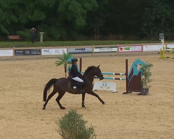 Reitturnier Tiefenhof/Opf. 2025