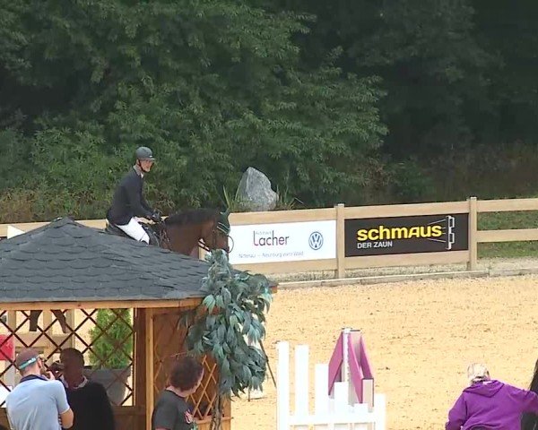 Reitturnier Tiefenhof/Opf. 2025