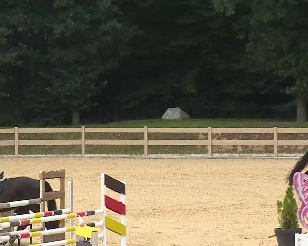 Reitturnier Tiefenhof/Opf. 2025