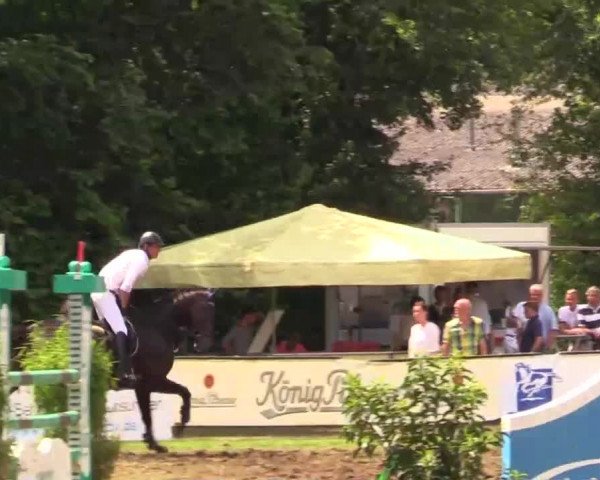 Pfingst - Dressur und Springturnier Borken 2014