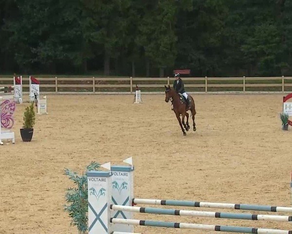 Reitturnier Tiefenhof/Opf. 2025