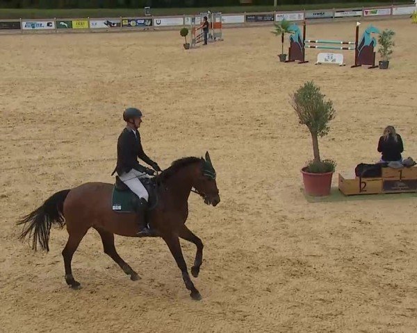 Reitturnier Tiefenhof/Opf. 2025