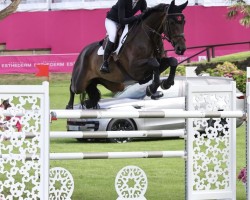 jumper Komet 306 (Hanoverian, 2016, from Kannan)