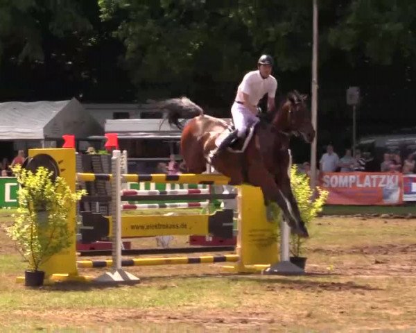 Pfingst - Dressur und Springturnier Borken 2014
