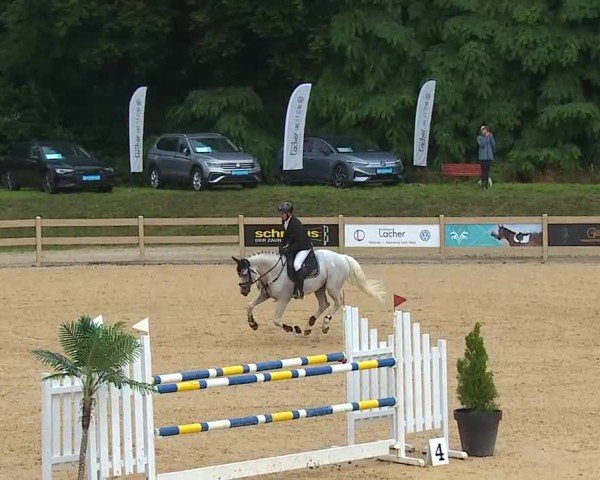 Reitturnier Tiefenhof/Opf. 2025