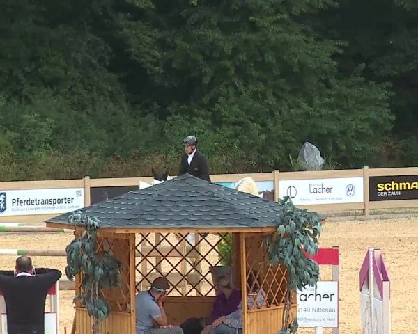 Reitturnier Tiefenhof/Opf. 2025
