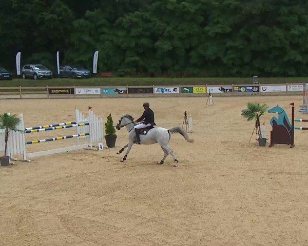 Reitturnier Tiefenhof/Opf. 2025