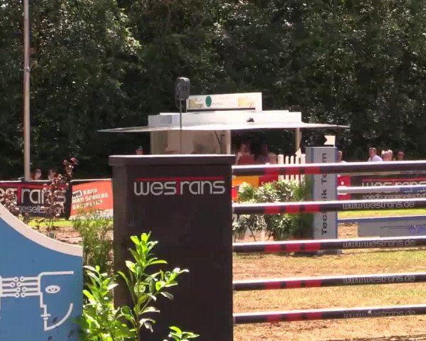 Pfingst - Dressur und Springturnier Borken 2014