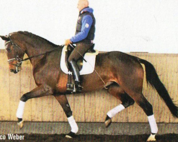 broodmare Dalina 60 (Hanoverian, 2012, from Drombusch)