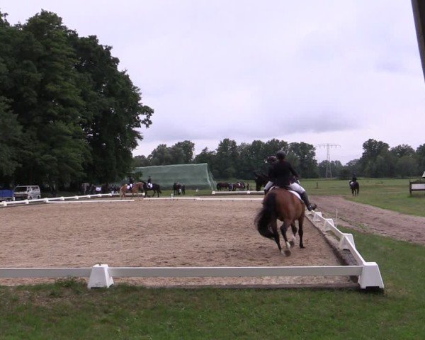 Reitturnier Gallinchen 2025