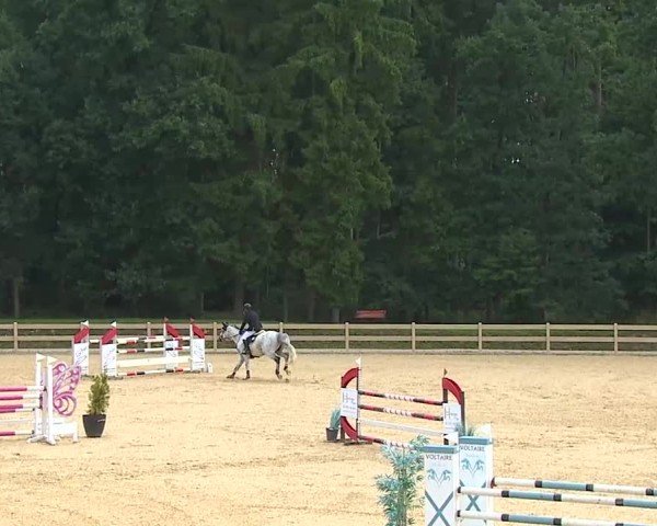 Reitturnier Tiefenhof/Opf. 2025
