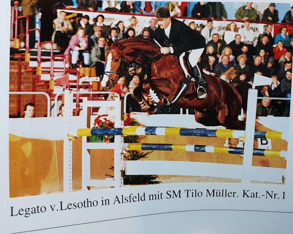 stallion Legato (German Warmblood, 1987, from Lesoto 1448)