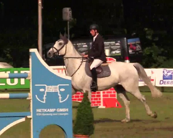 Pfingst - Dressur und Springturnier Borken 2014