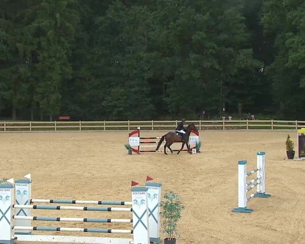 Reitturnier Tiefenhof/Opf. 2025
