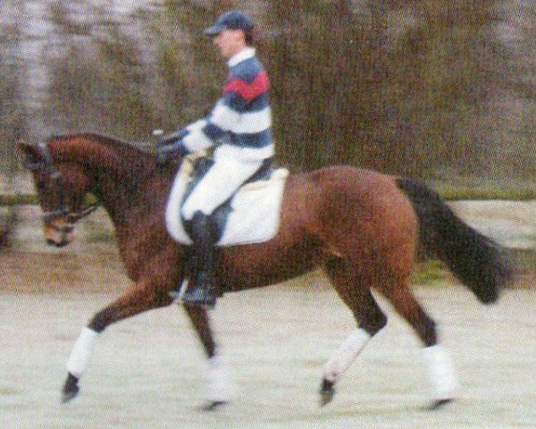 Zuchtstute Hoheit XI (Trakehner, 2004, von Insterburg TSF)