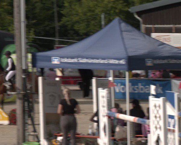 Reitturnier Olfen-Vinnum 2025