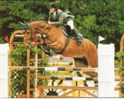 Springpferd Golden Roy H (Sachse, 1997, von Glacier)