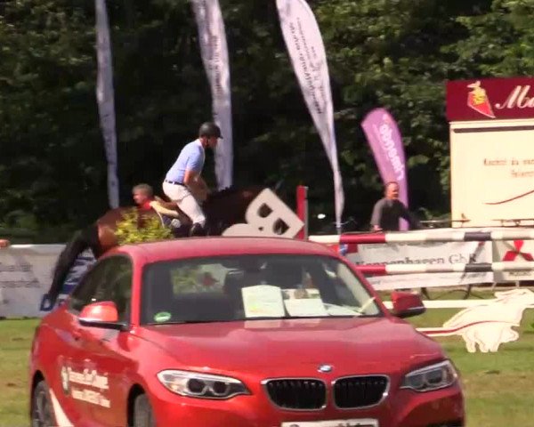 Pfingst - Dressur und Springturnier Borken 2014