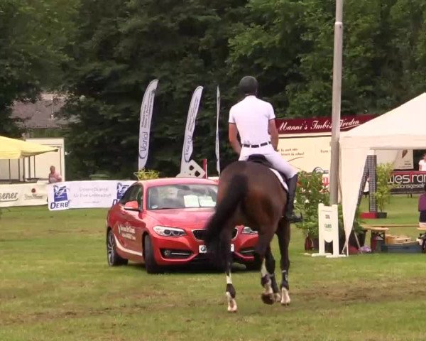 Pfingst - Dressur und Springturnier Borken 2014
