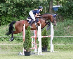 jumper La Storia BZ (unknown, 2011)