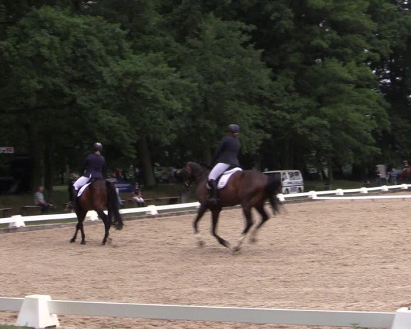 Reitturnier Gallinchen 2025
