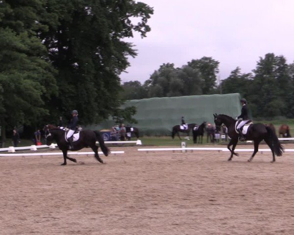 Reitturnier Gallinchen 2025