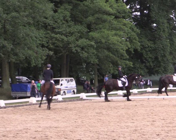 Reitturnier Gallinchen 2025