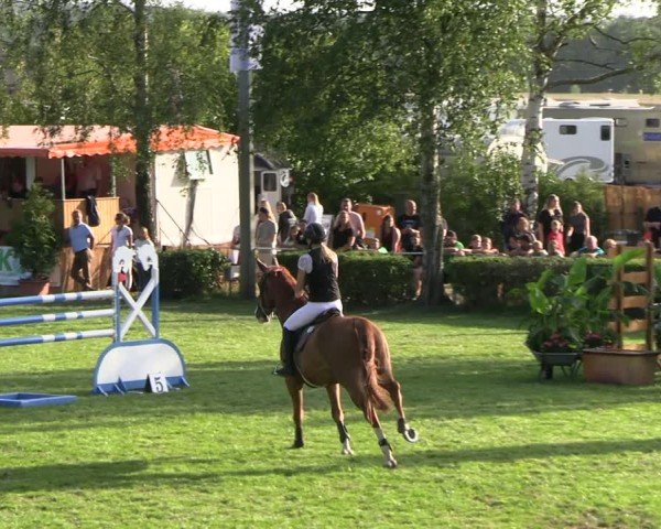 Reitturnier Etingen 2025
