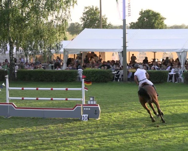 Reitturnier Etingen 2025