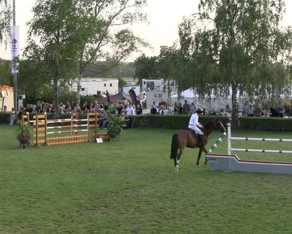 Reitturnier Etingen 2025