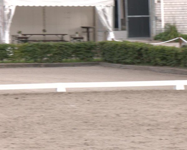 Reitturnier Olfen-Vinnum 2025