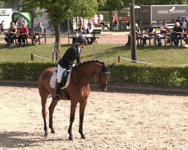 Reitturnier Olfen-Vinnum 2025