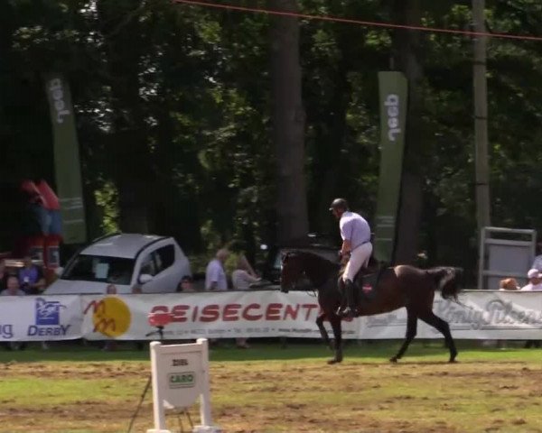 Pfingst - Dressur und Springturnier Borken 2014