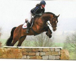 jumper Coer de Lion S (German Sport Horse, 2017, from Cassoulet)