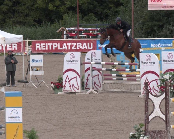 Reitturnier Lassee 2025